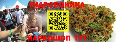 a pvp Можайск