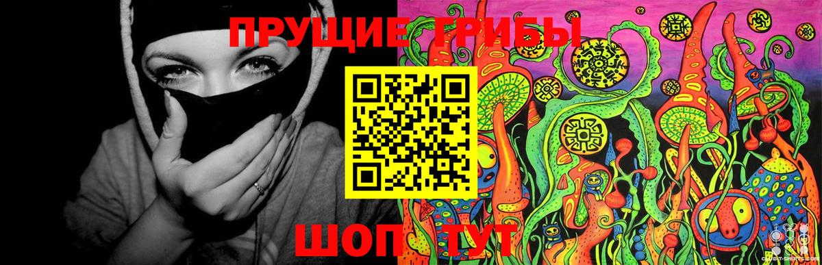 Галлюциногенные грибы GOLDEN TEACHER  Псилоцибиновые грибы мухоморы  Сыктывкар  Вход с VPN 